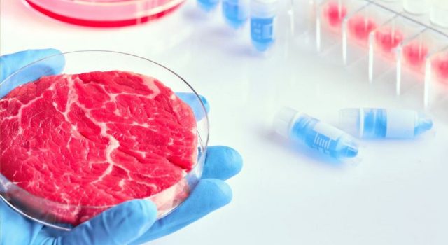 carne coltivata