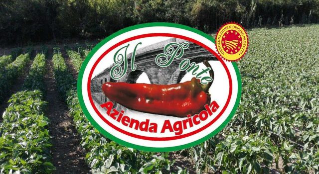 Azienda agricola il Ponte