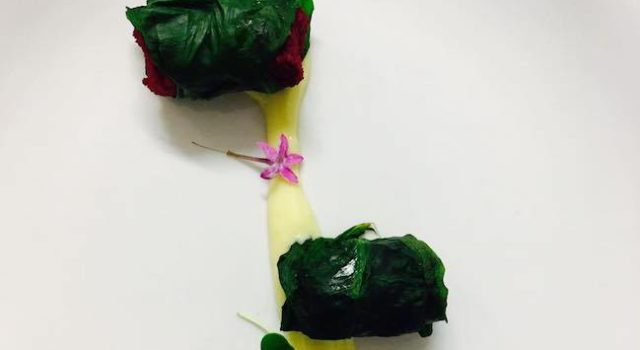 involtini-cous-cous