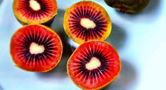 kiwi rosso