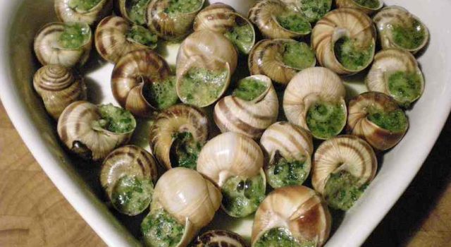 Lumache alla Bourguignonne