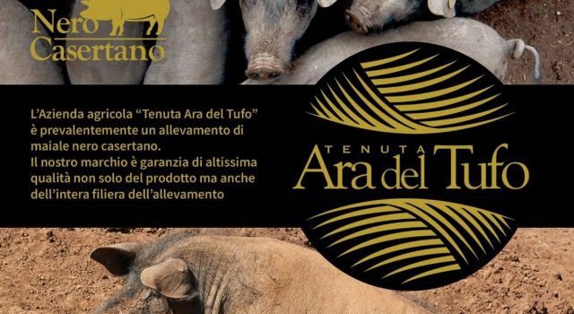 ara del tufo
