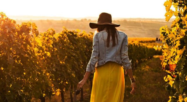 un viaggio dall'ingegneria al mondo del vino_
